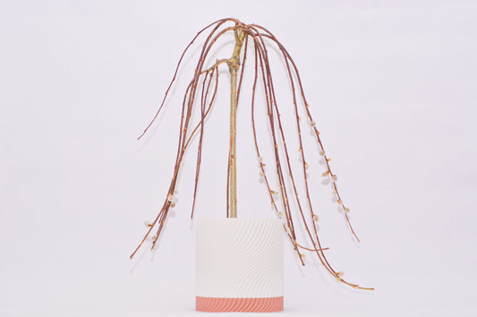 Harbor 6" Deep Planter with Integrated Drip Tray