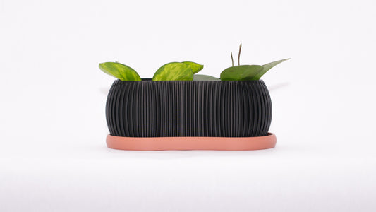 Mustard Seed Planter