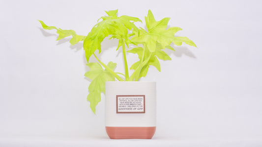 Cornerstone 6" Deep Planter with Integrated Drip Tray