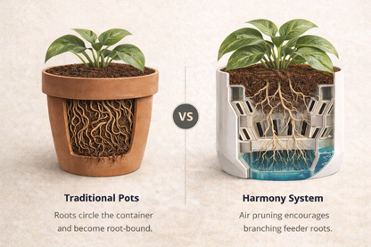 8" Harmony HydroCore System