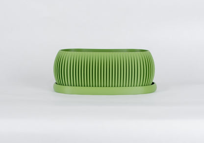 Mustard Seed Planter