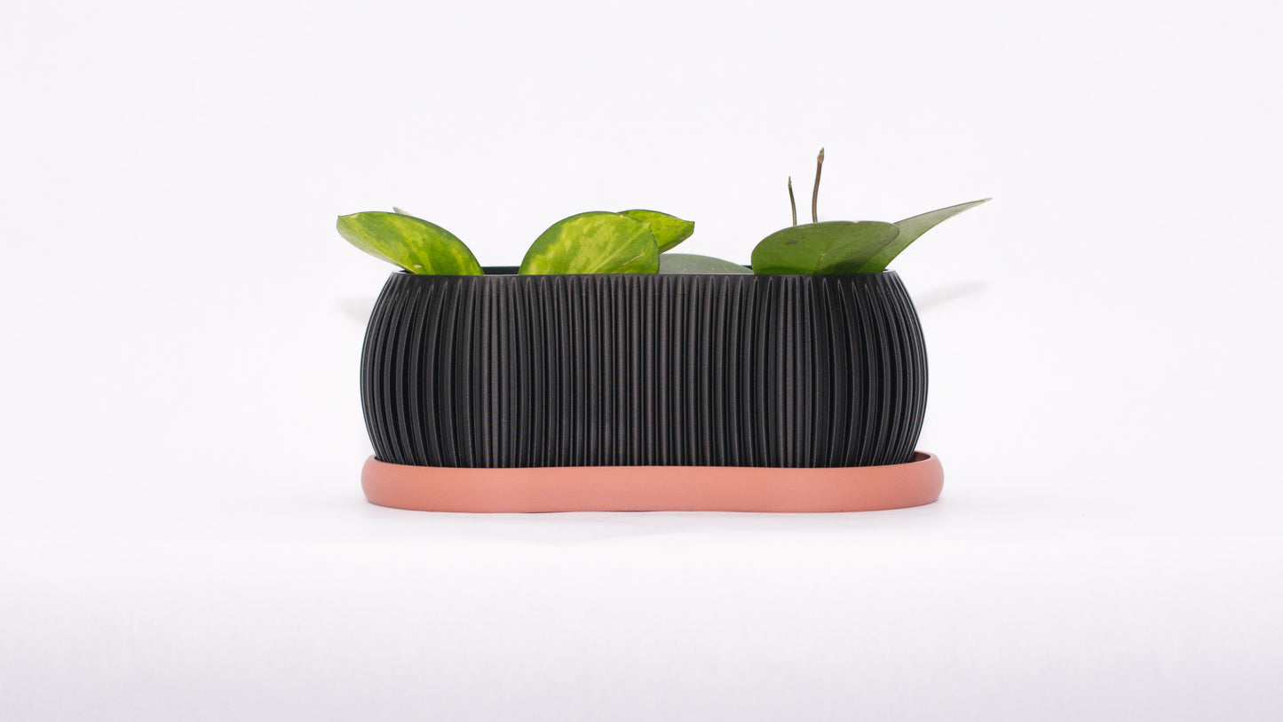Mustard Seed Planter