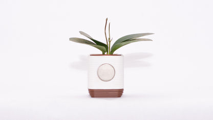 Root Magnetic Mini Planter