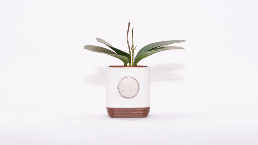 Root Magnetic Mini Planter