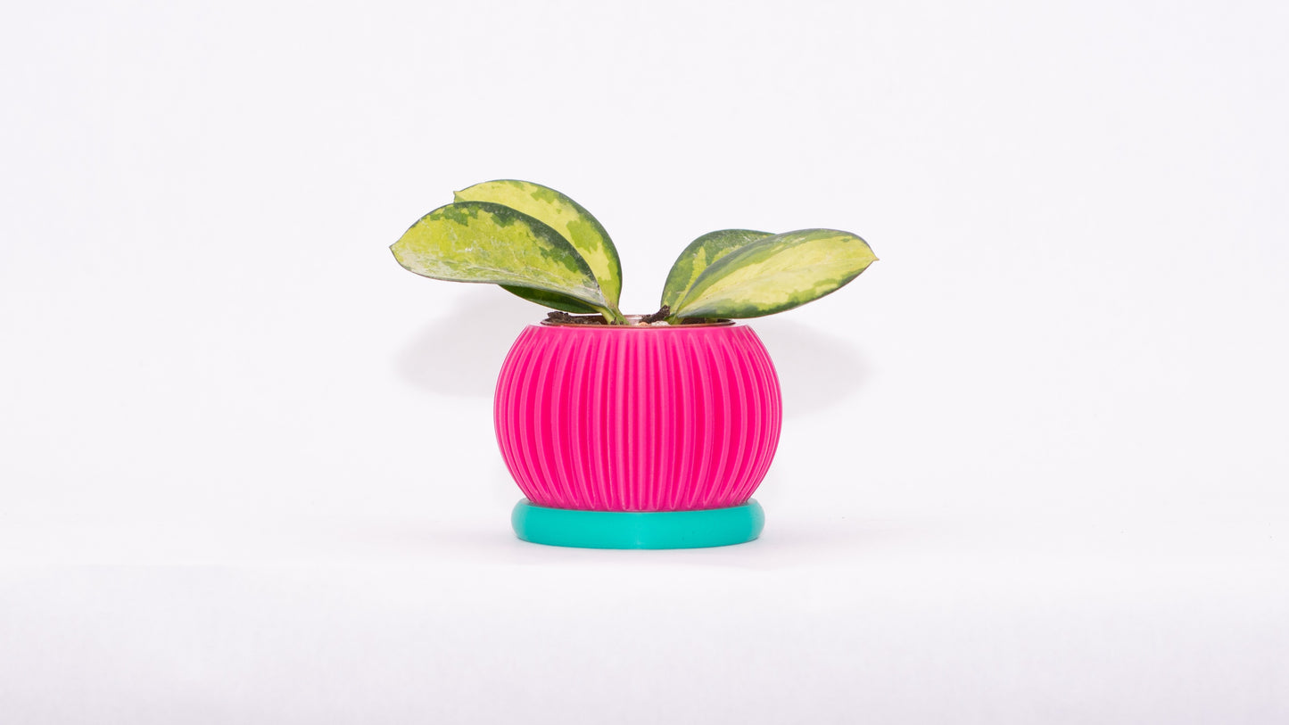 Sprout Magnetic Mini Planter