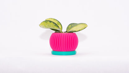 Sprout Magnetic Mini Planter