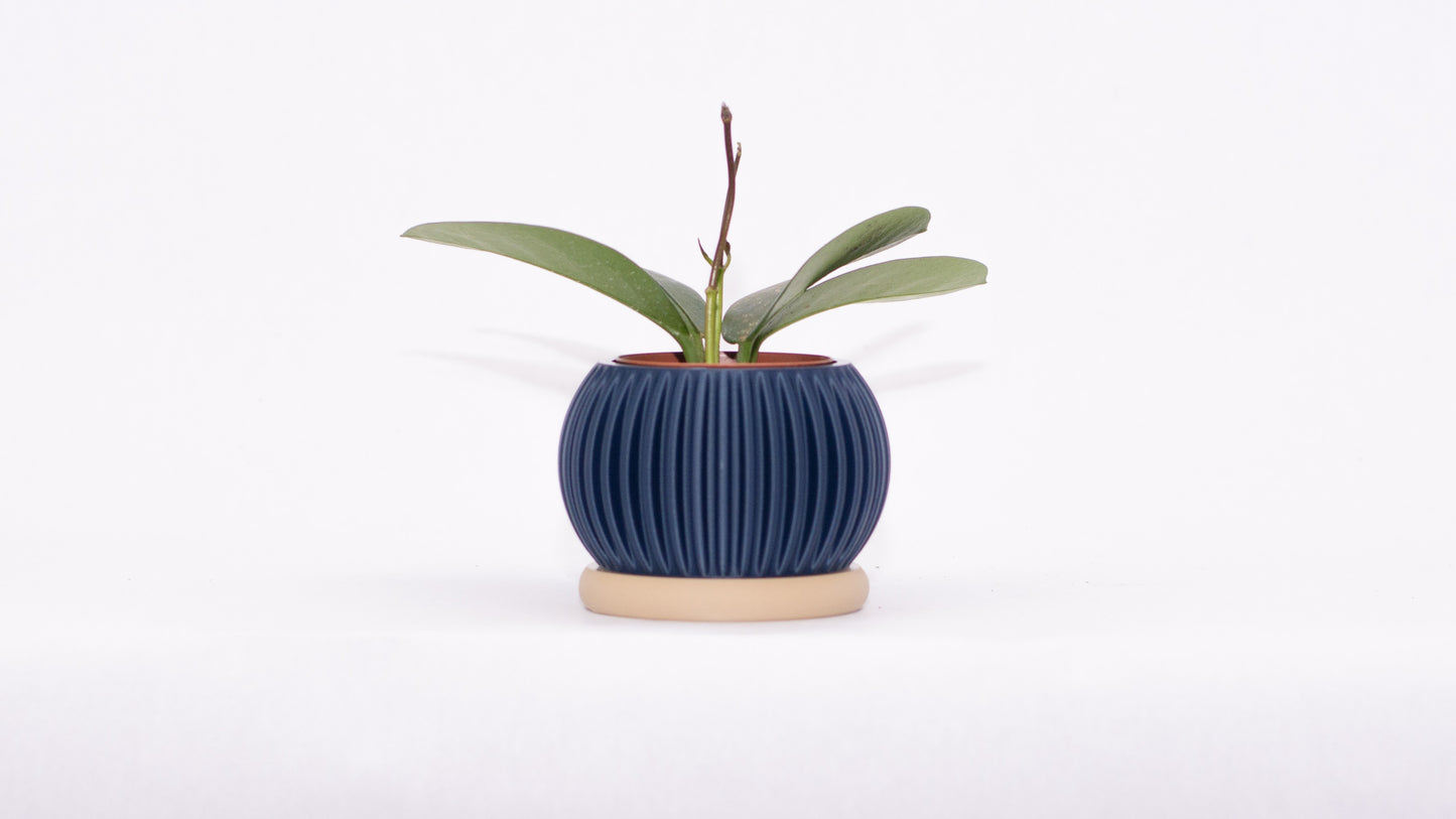 Sprout Magnetic Mini Planter