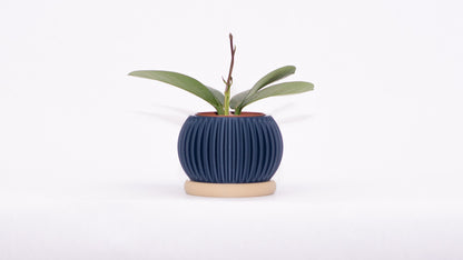 Sprout Magnetic Mini Planter