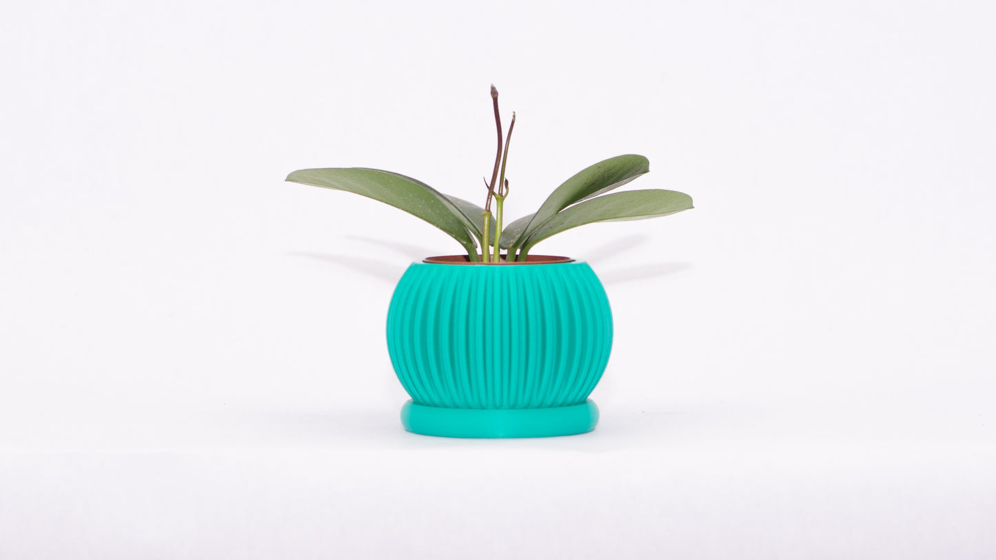 Sprout Magnetic Mini Planter