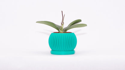 Sprout Magnetic Mini Planter