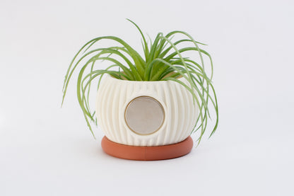 Sprout Magnetic Mini Planter
