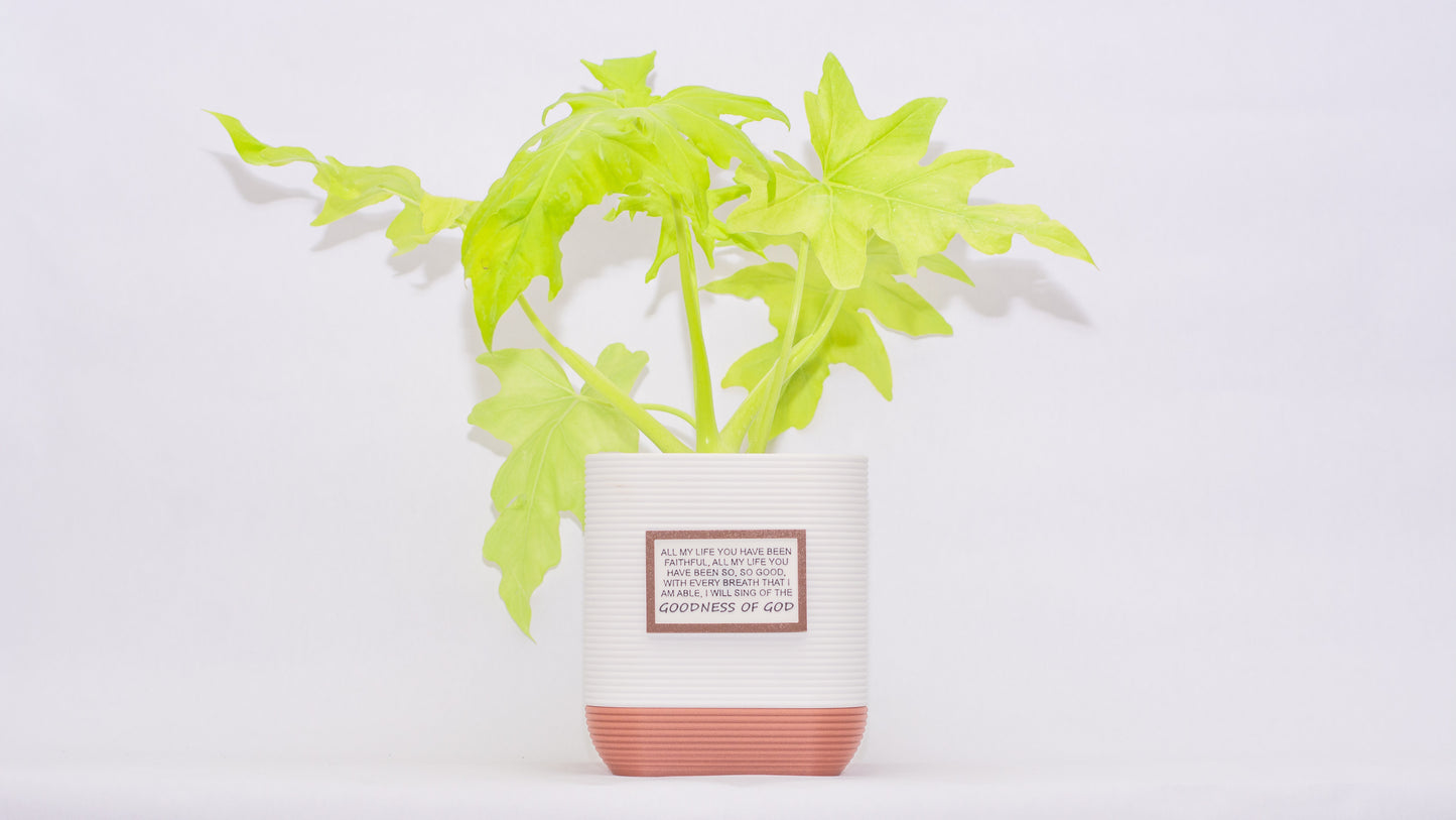 Cornerstone 6" Deep Planter with Integrated Drip Tray