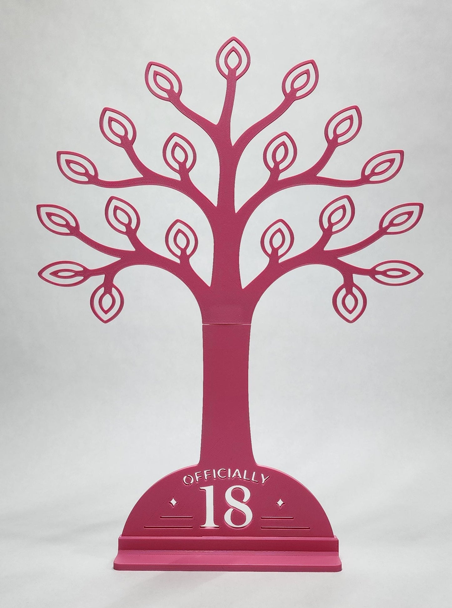 18th Birthday Money Gift Holder