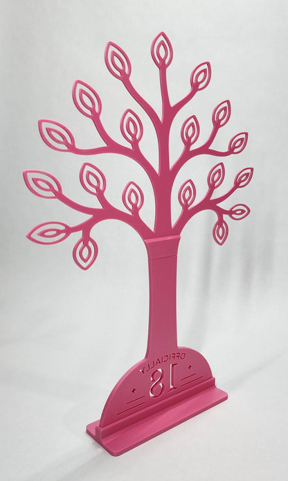 18th Birthday Money Gift Holder