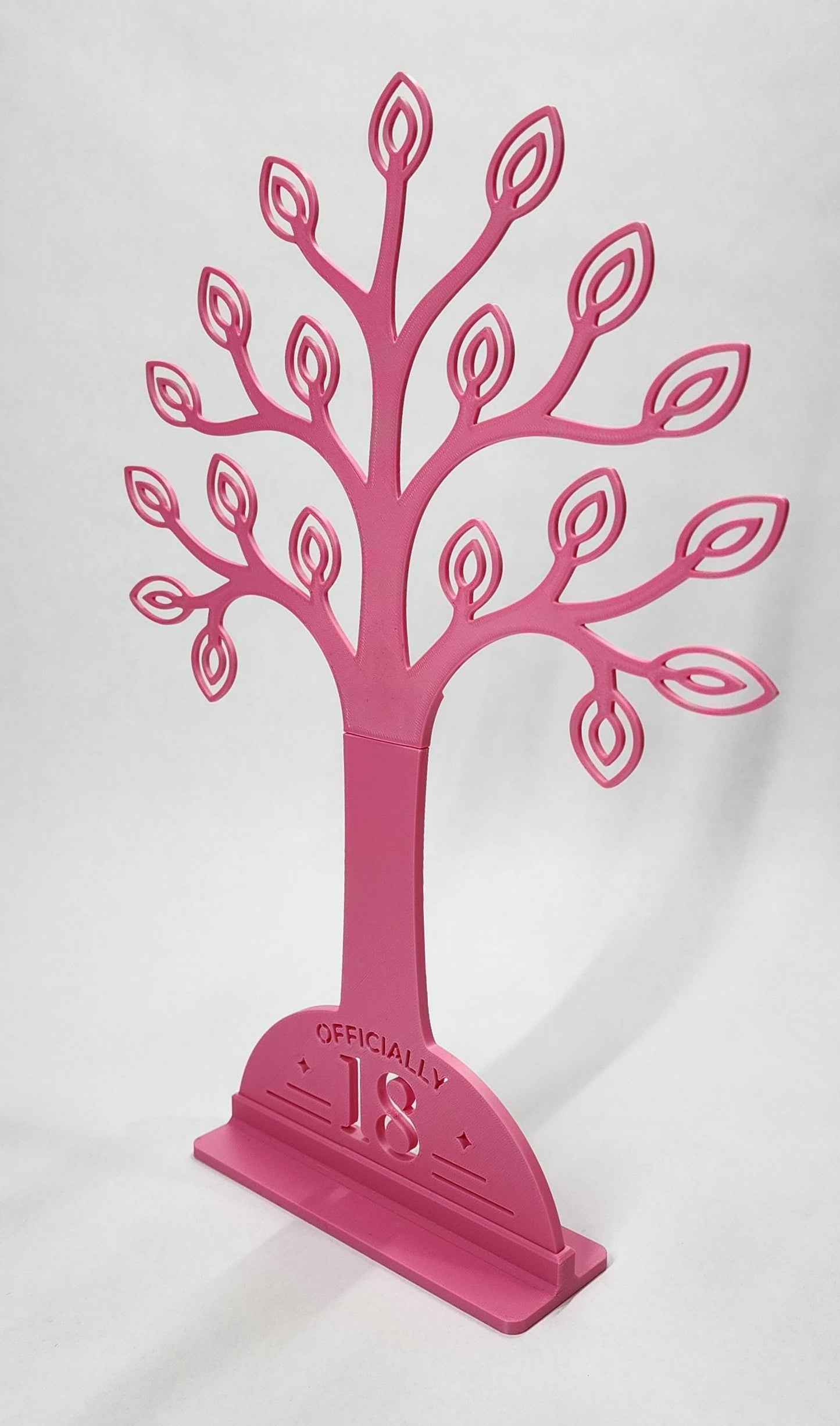 18th Birthday Money Gift Holder