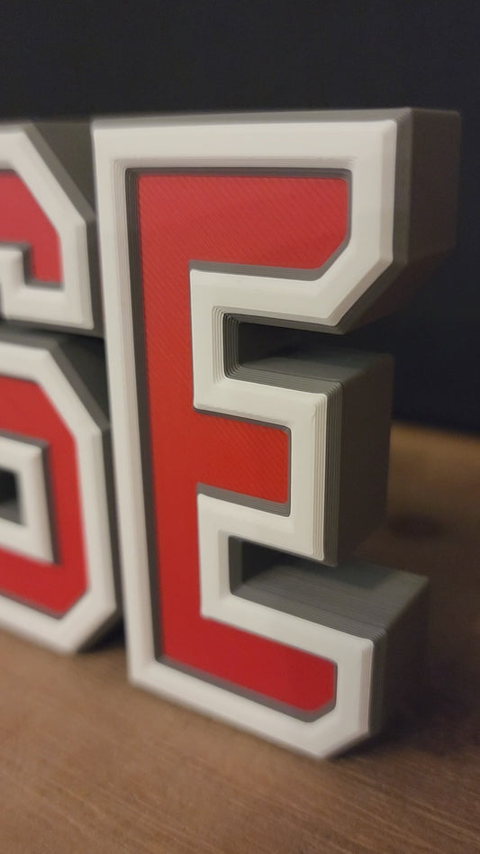 20" HOUSE DIVIDED Shelf Sitter - Custom Team Colors